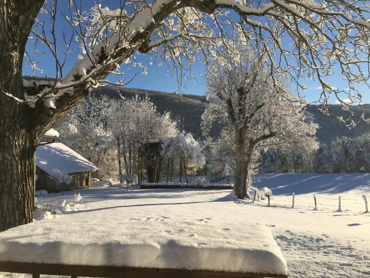 Saint-Rambert-en-Bugey Les Granges De L'Eblouaz Bed & Breakfast エクステリア 写真