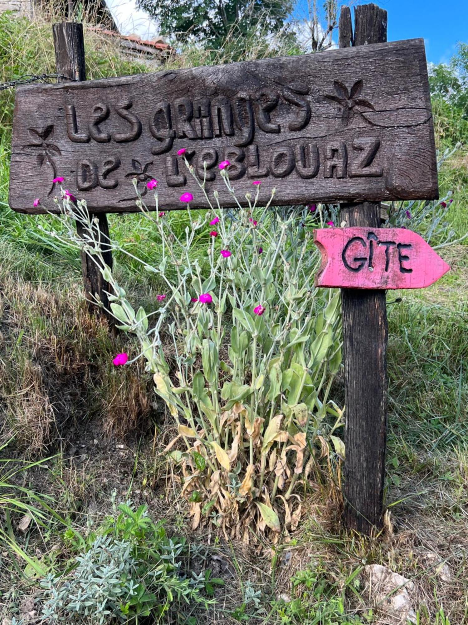 Saint-Rambert-en-Bugey Les Granges De L'Eblouaz Bed & Breakfast エクステリア 写真
